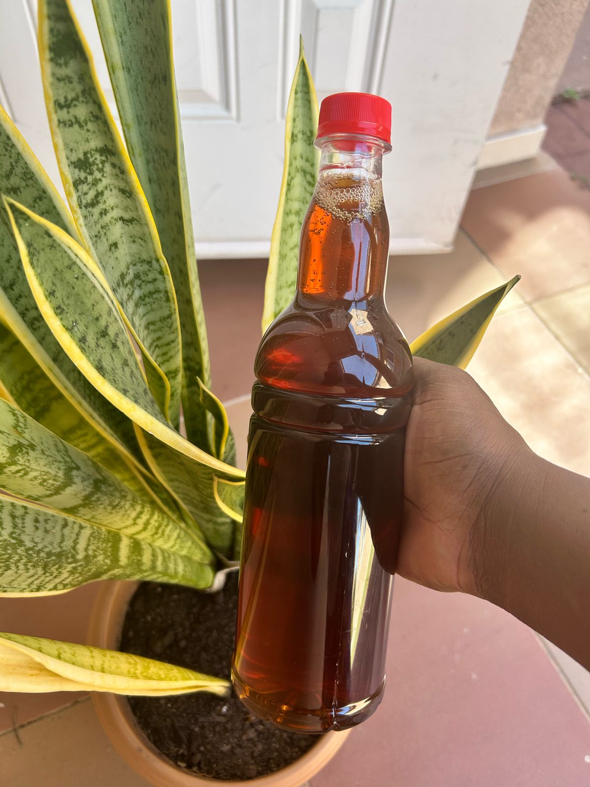 Premium Amber Honey